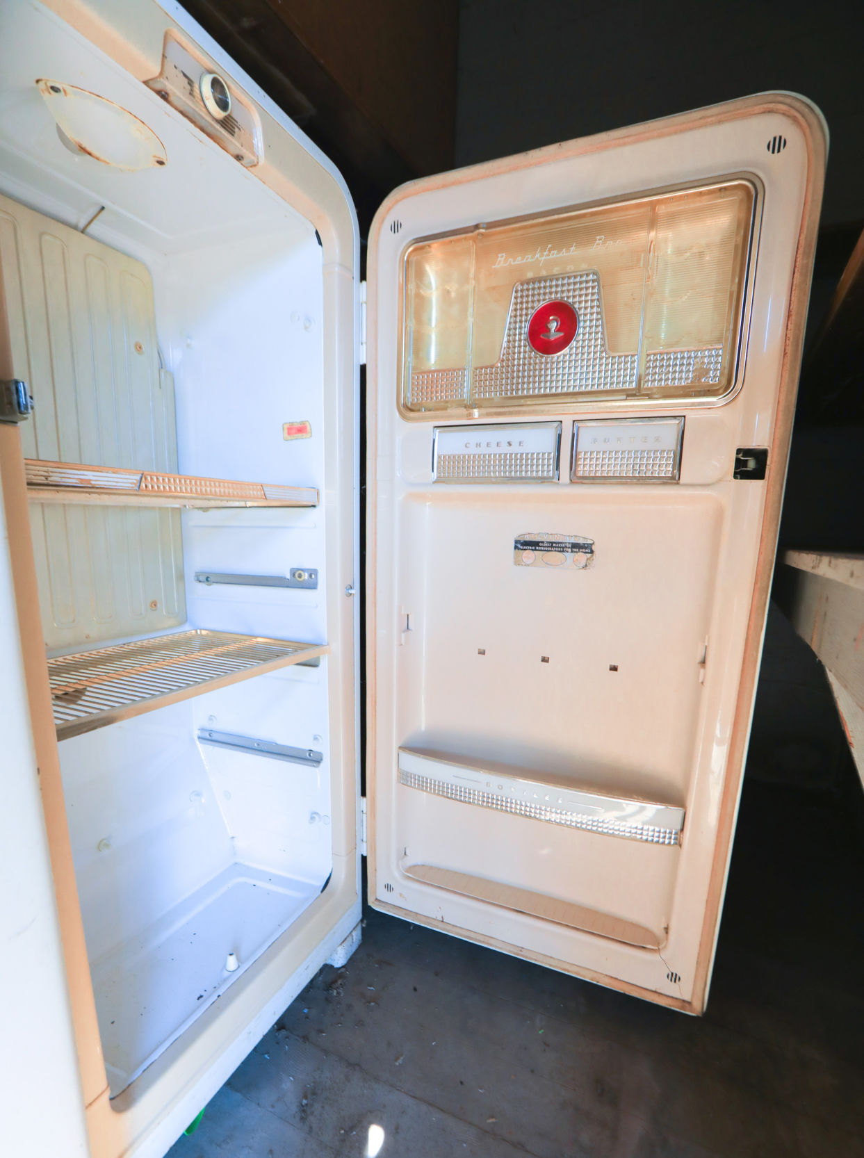 Kelvinator Fridge Jeremy Ball.jpg